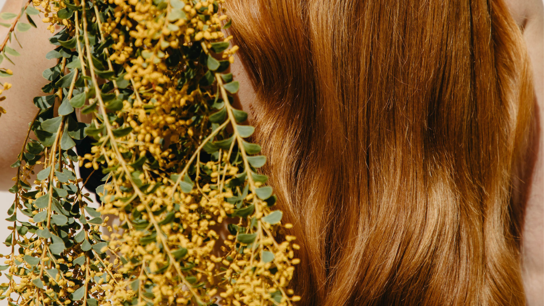 Australian Native Botanicals in Haircare: More Than a Marketing Story
