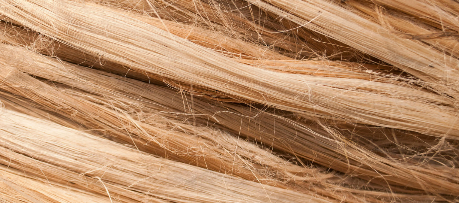 Hair Loss or Hair Shedding? How to Tell the Difference
