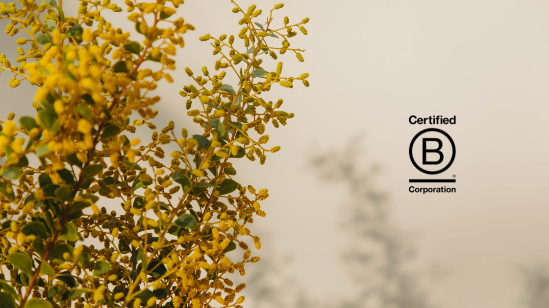 What Does B Corp Actually Mean for a Haircare Brand?