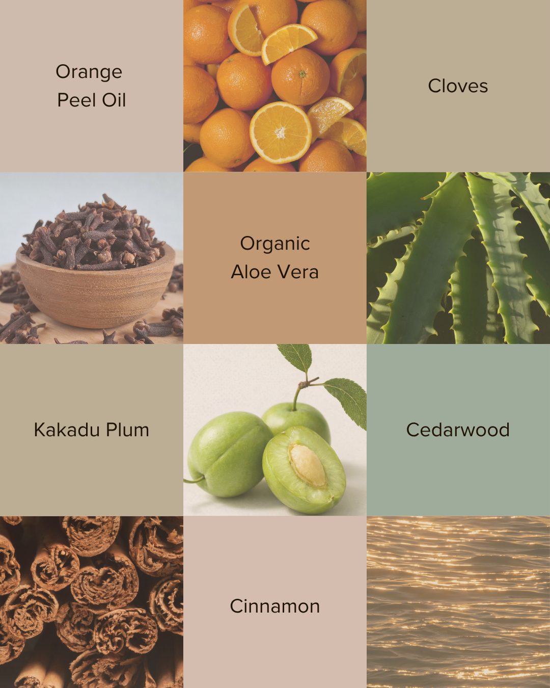 How to Hydrate Frizzy Hair with Australian Botanicals