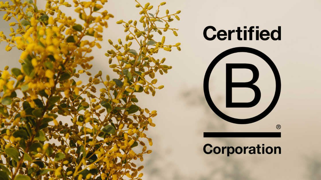 SOPHIC is Now Officially a Certified B Corporation