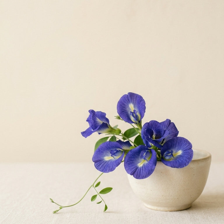 Blue flowers in a white vase on a beige background