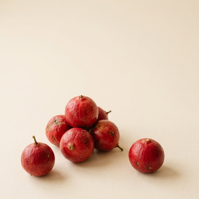 Group of red quandong on a beige background